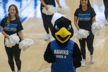 Calling All Hawks!