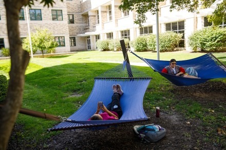 Two students relaxing in hammocks